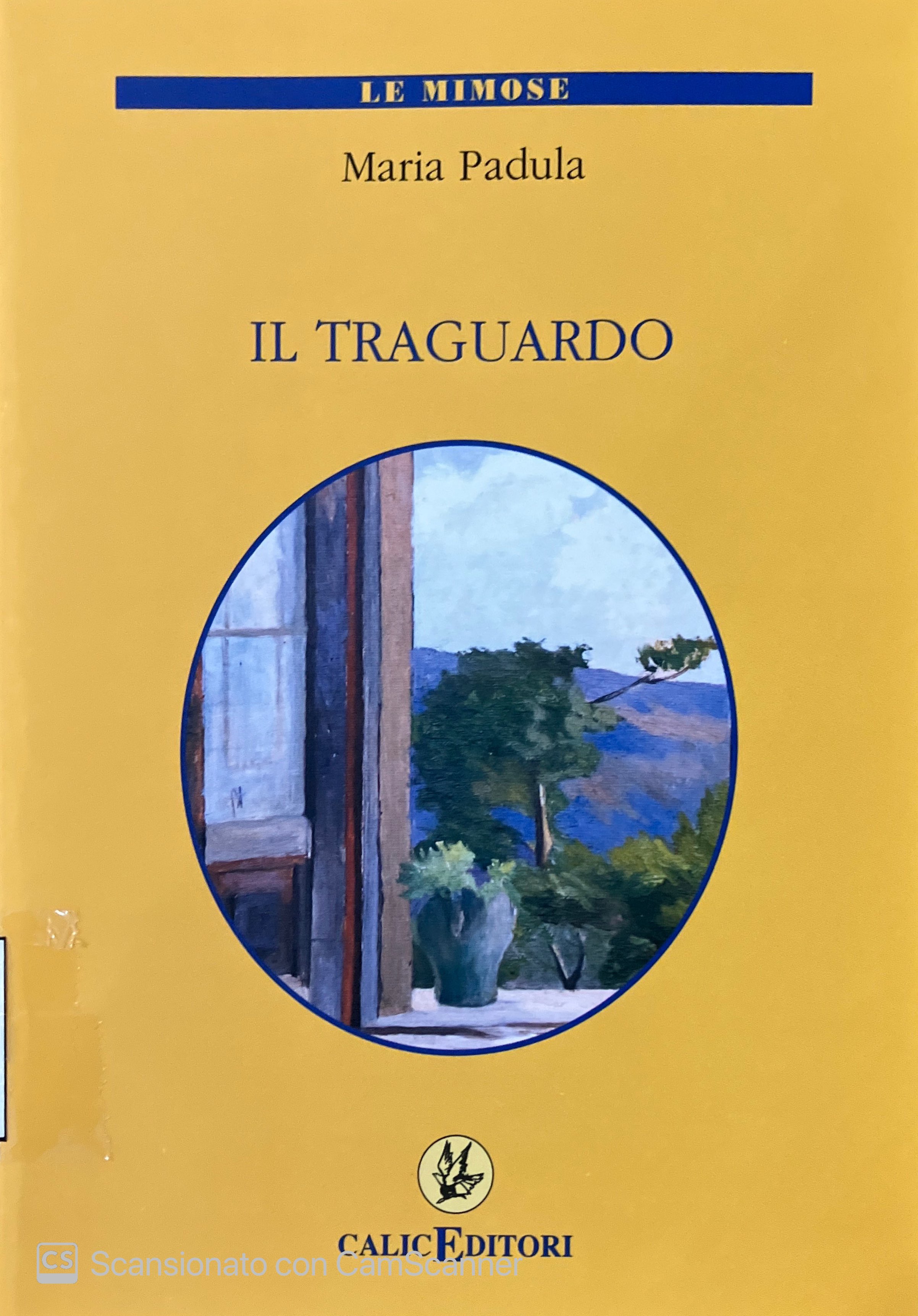 IL TRAGUARDO
